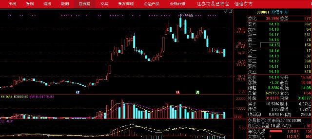 300081股票行情詳解，初學(xué)者與進(jìn)階用戶的操作指南