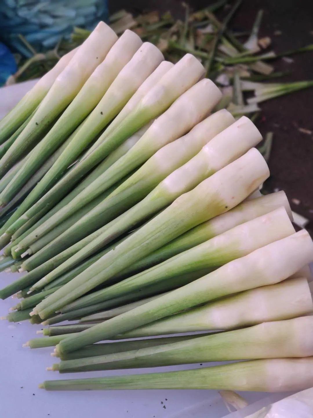 豆角最新價(jià)格行情，小巷中的綠色寶藏揭秘