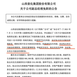 壺化集團(tuán)上市審查中止步驟指南及影響分析