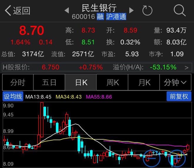 民生銀股票,民生銀股票，股市中的溫情紐帶