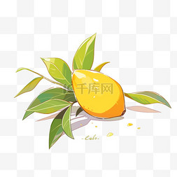 芒果動漫圖片制作指南，從初學(xué)者到進階用戶的必備手冊