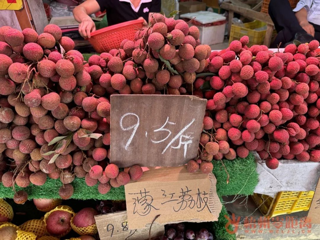 科技引領(lǐng)下的桂味荔枝新風(fēng)尚與價格行情解析