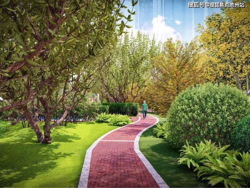 河北董天利最新動態(tài)，引領(lǐng)科技潮流，重塑未來生活新體驗