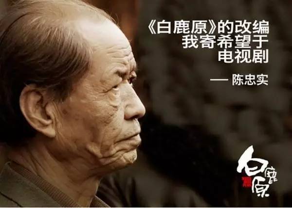 白鹿原收視率持續(xù)攀升，激勵擁抱學(xué)習(xí)與變化的力量新篇章揭秘