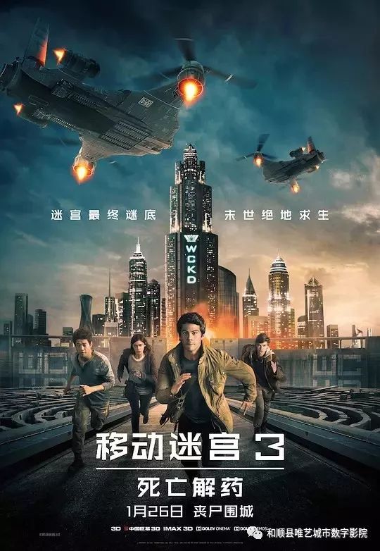 “最新電影資訊”,最新電影資訊，深度探析與觀點(diǎn)闡述