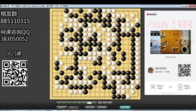 今天的圍棋比賽直播,今天的圍棋比賽直播——一場智慧與激情的盛宴