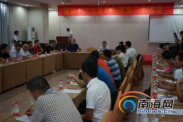 火龍果的季節(jié)饋贈(zèng)與時(shí)代印記，了解上市月份揭秘！
