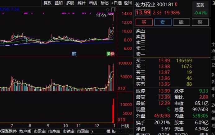 上海凱寶股票實(shí)時動態(tài)解析，如何獲取并分析股票信息的全面指南