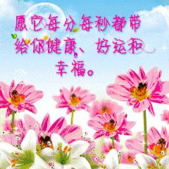 科技、社會與經(jīng)濟(jì)三大領(lǐng)域焦點(diǎn)探討的最新動態(tài)