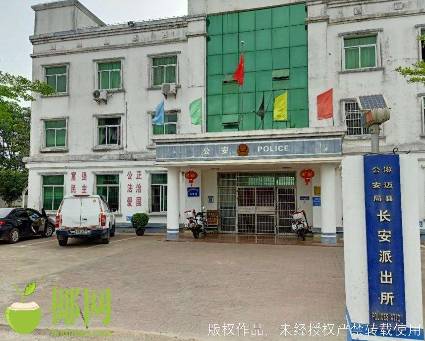 澄邁資訊快報，最新動態(tài)與資訊匯總??