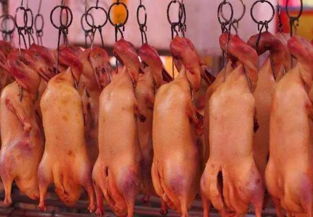 肉鴨最新行情解析，市場(chǎng)動(dòng)態(tài)獲取與分析方法詳解