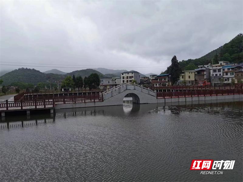 平和新聞網(wǎng)最新消息，平和縣的新發(fā)展、新動(dòng)態(tài)概覽