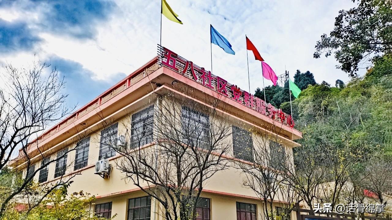科研院所改制最新動態(tài)，探索自然美景的覺醒之旅