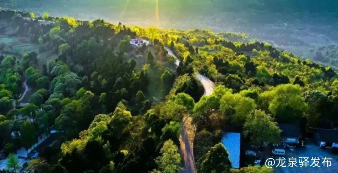 龍泉森林公園最新動(dòng)態(tài)，自然美景探索之旅啟程！