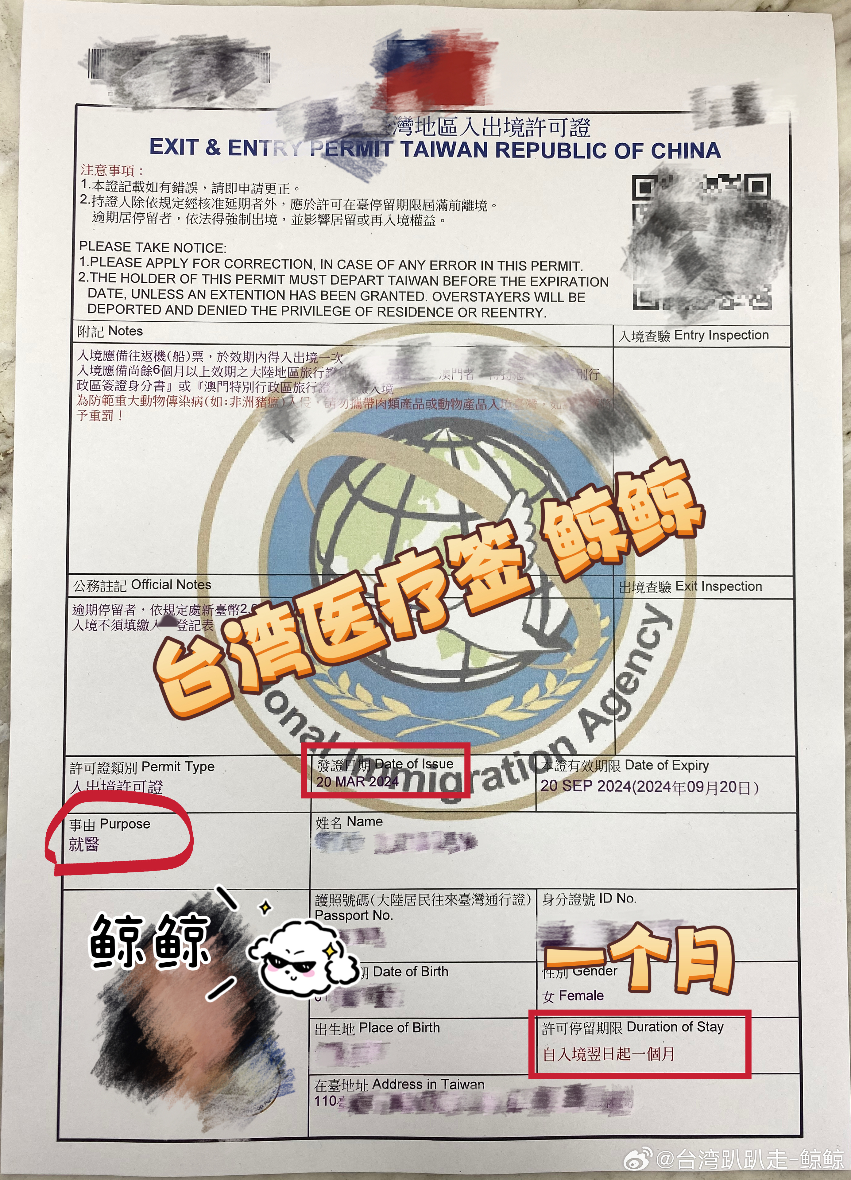 揭秘，2025入臺證最新消息重磅發(fā)布！