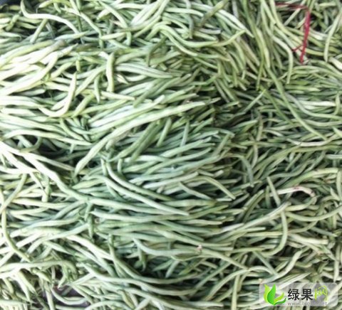 今日四季豆價格更新，小巷深處的豆香奇緣