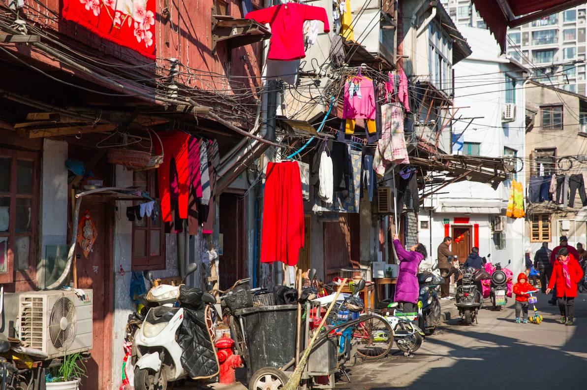 董家渡動(dòng)遷居民群，自然美景探索之旅開(kāi)啟