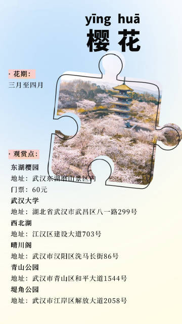 武昌花堤街最新動(dòng)態(tài)更新，地區(qū)發(fā)展最新消息