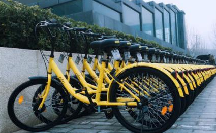 Ofo共享單車(chē)最新版本探索，騎行小巷的獨(dú)特樂(lè)趣