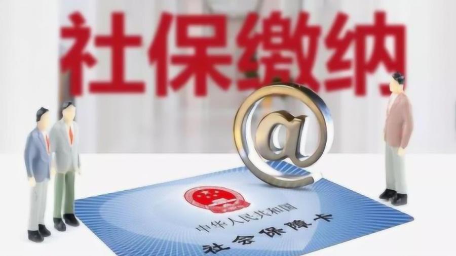 保險最新動態(tài)，學(xué)習(xí)變革，開啟自信與成就之旅