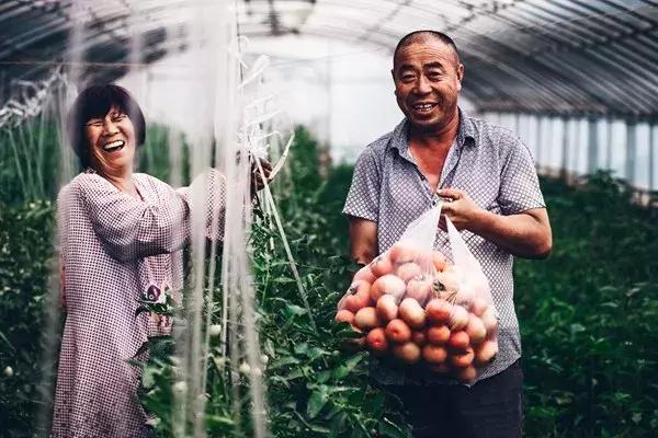 協(xié)鑫光伏最新招聘啟事，開啟光伏人生，共筑陽(yáng)光夢(mèng)想！