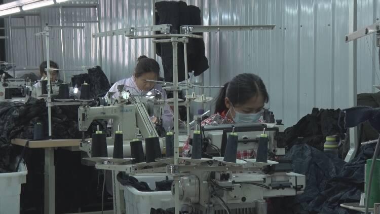 成武新聞最新動(dòng)態(tài)，擁抱自然，踏尋內(nèi)心平靜的旅行