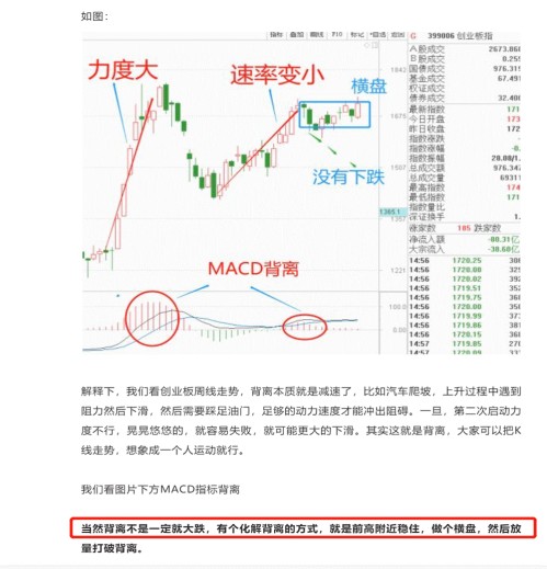 最新股市評論，心靈與自然的奇妙旅程