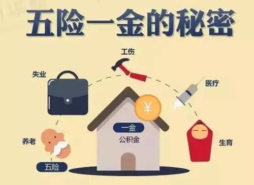 時代背景下的社會保障新篇章，最新五險解析