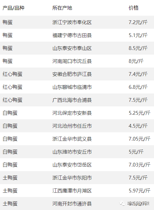 白羽肉雞價格指南，最新查詢、理解與掌握信息的步驟