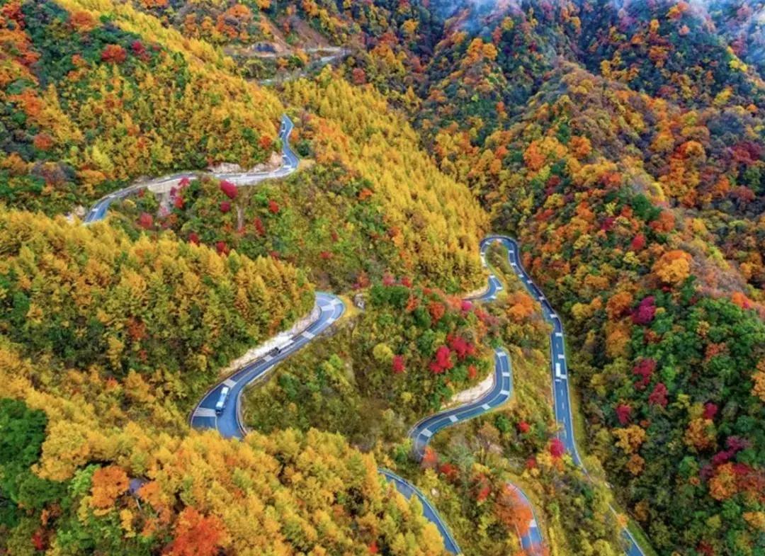 光霧山旅游攻略最新更新，一場(chǎng)愛(ài)與陪伴的溫馨之旅