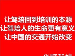 最新駕駛員招聘信息，啟程探索自然美景的駕駛之旅！