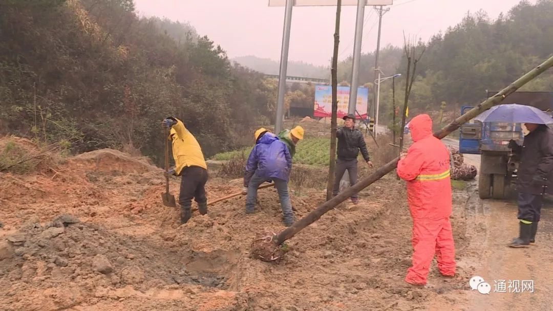 通山包砣網(wǎng)最新新聞，擁抱自然，探尋桃花源之旅