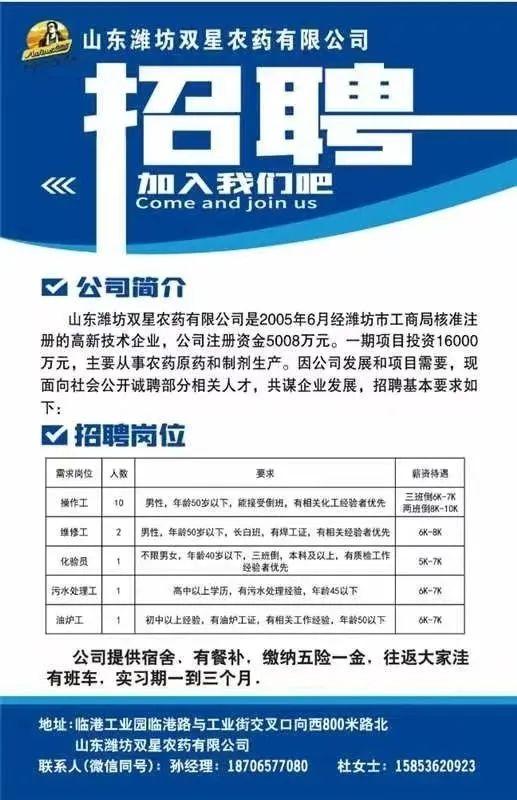 濰坊新旭電子最新招聘，小巷中的隱藏寶藏，探索無(wú)限機(jī)遇！